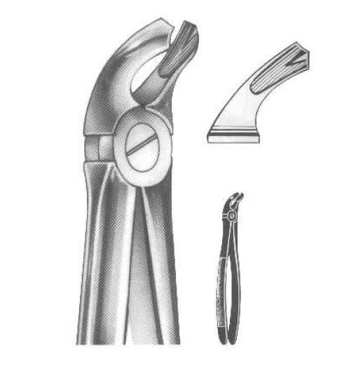 ROD 003-EX Extracting Forceps-English Pattern