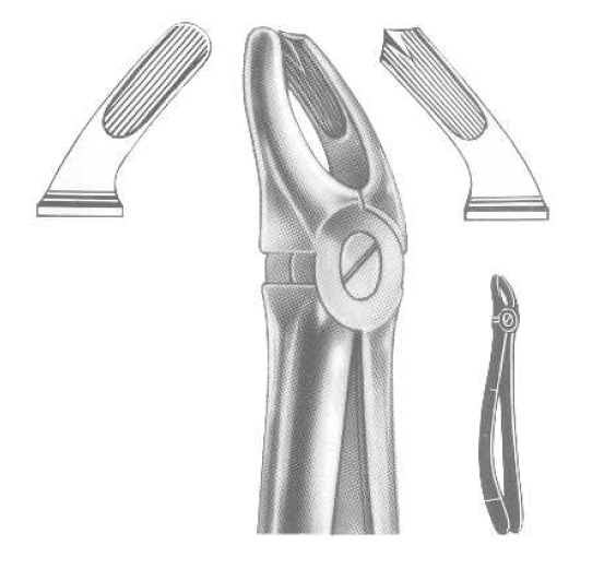 ROD 008-EX Extracting Forceps-English Pattern