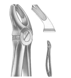 ROD 010-EX Extracting Forceps-English Pattern