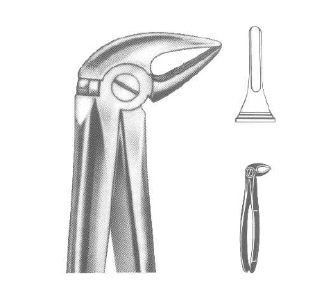 ROD 013-EX Extracting Forceps-English Pattern