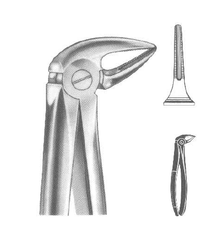 ROD 014-EX Extracting Forceps-English Pattern