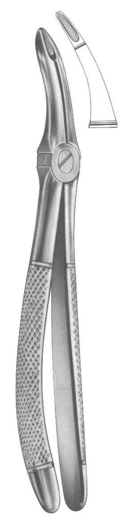 ROD 016-EX Extracting Forceps-English Pattern