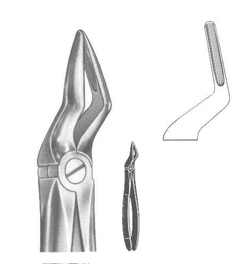 ROD 018-EX Extracting Forceps-English Pattern