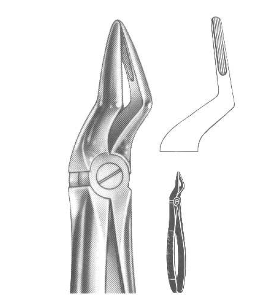 ROD 019-EX Extracting Forceps-English Pattern