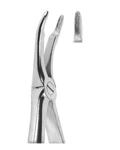 ROD 036-EX Extracting Forceps-English Pattern