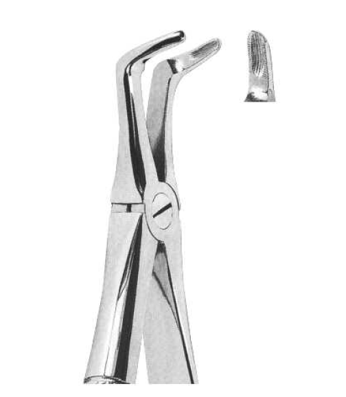 ROD 038-EX Extracting Forceps-English Pattern