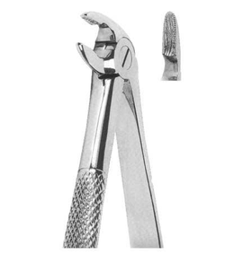 ROD 042-EX Extracting Forceps-English Pattern