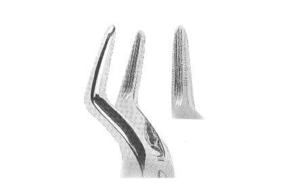 ROD 099-EX Extracting Forceps-Anatomically Shaped Handle