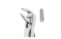 ROD 101-EX Extracting Forceps-Anatomically Shaped Handle