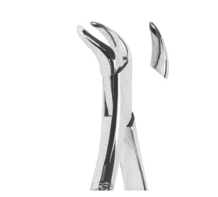 ROD 108-EX Extracting Forceps-American Pattern