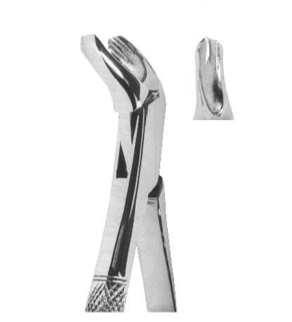 ROD 109-EX Extracting Forceps-American Pattern