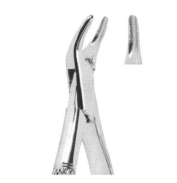 ROD 119-EX Extracting Forceps-American Pattern