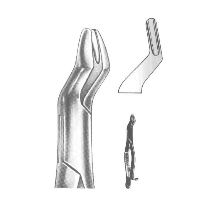 ROD 129-EX Extracting Forceps-American Pattern