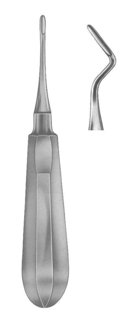 ROD 170-EX Root Elevators-Apical