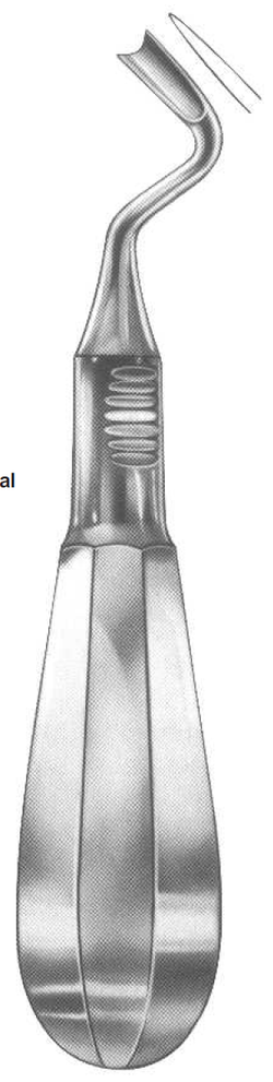 ROD 205-EX Root Elevators-Ott