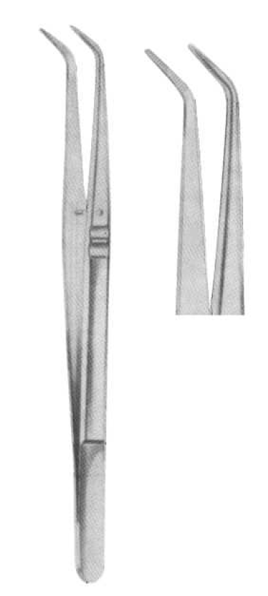 ROD 613-DG Dental Tweezers-College