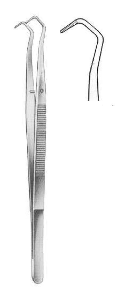 ROD 623-02 DG Dental Tweezers-College